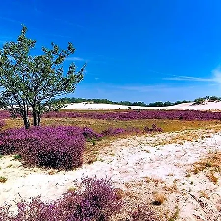 Rammesdoenk Bed & Breakfast