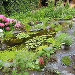 Rammesdoenk Bed & Breakfast