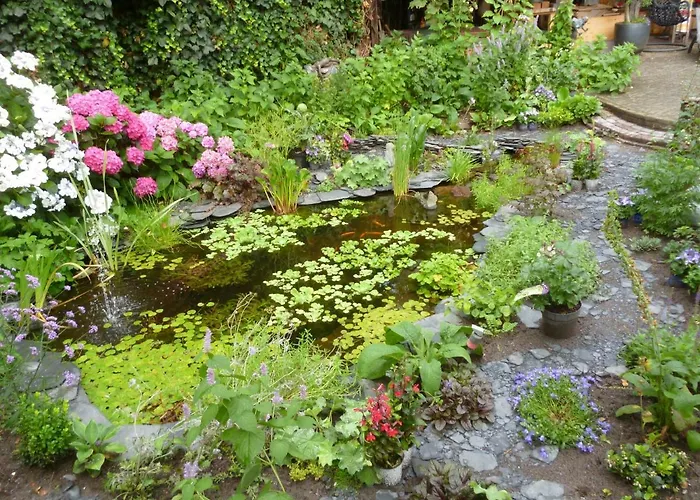 Rammesdoenk Bed & Breakfast